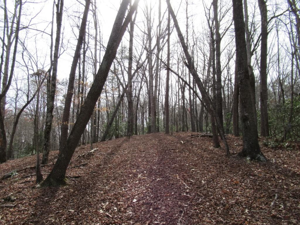 single family residence for sale at 0 Long Branch Road, Dahlonega, GA 30533 — photo 2