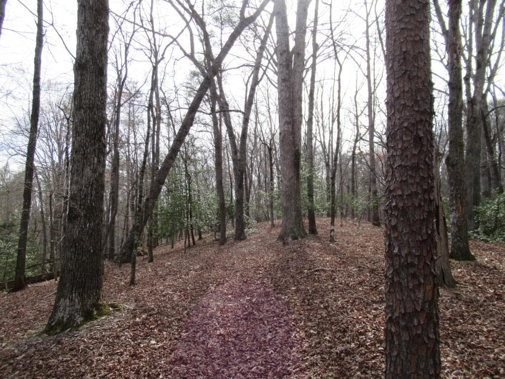 single family residence for sale at 0 Long Branch Road, Dahlonega, GA 30533 — photo 3