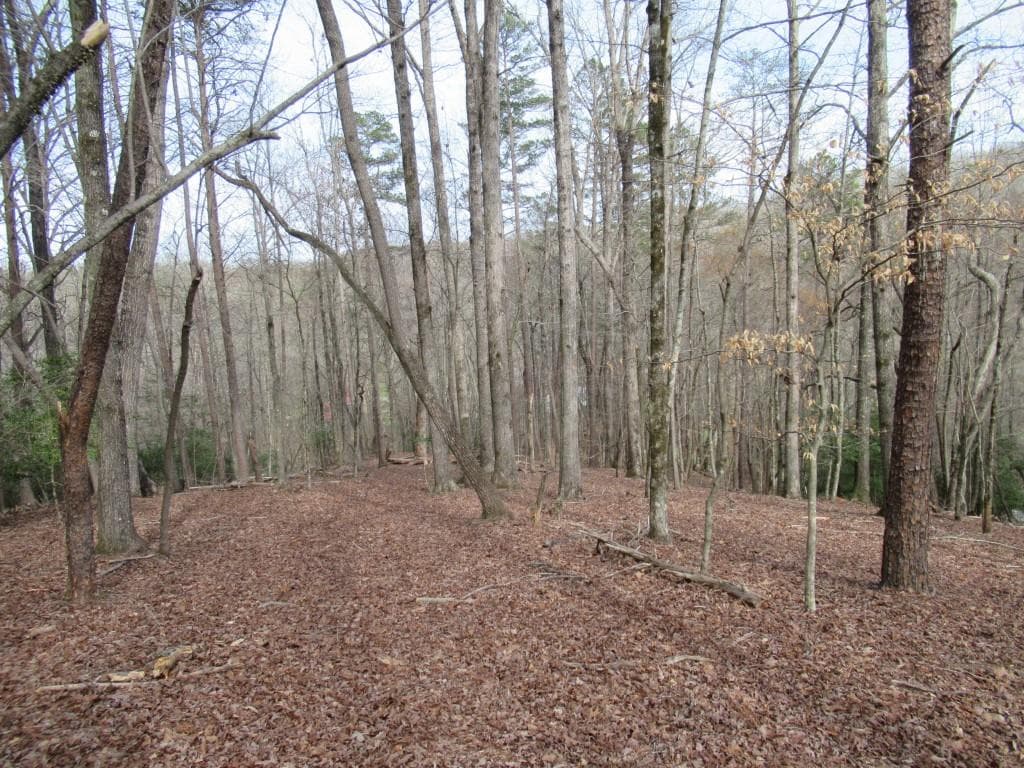 single family residence for sale at 0 Long Branch Road, Dahlonega, GA 30533 — photo 6