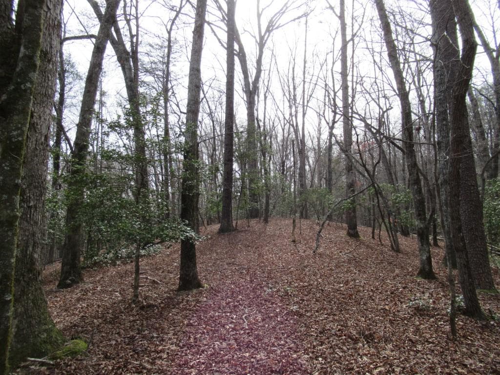 single family residence for sale at 0 Long Branch Road, Dahlonega, GA 30533 — photo 7