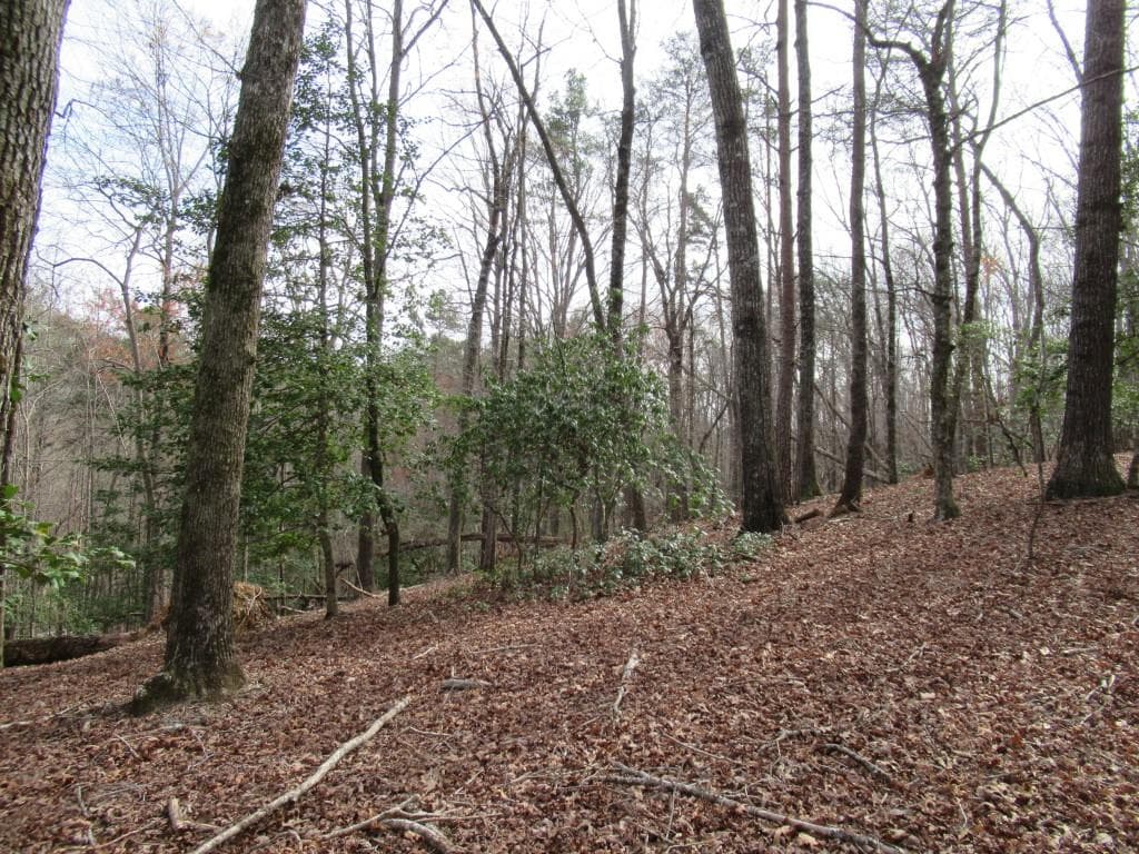 single family residence for sale at 0 Long Branch Road, Dahlonega, GA 30533 — photo 8