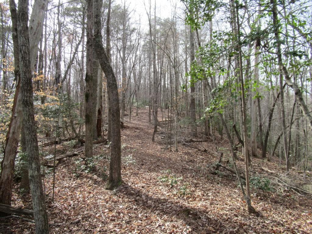 single family residence for sale at 00 Long Branch Road, Dahlonega, GA 30533