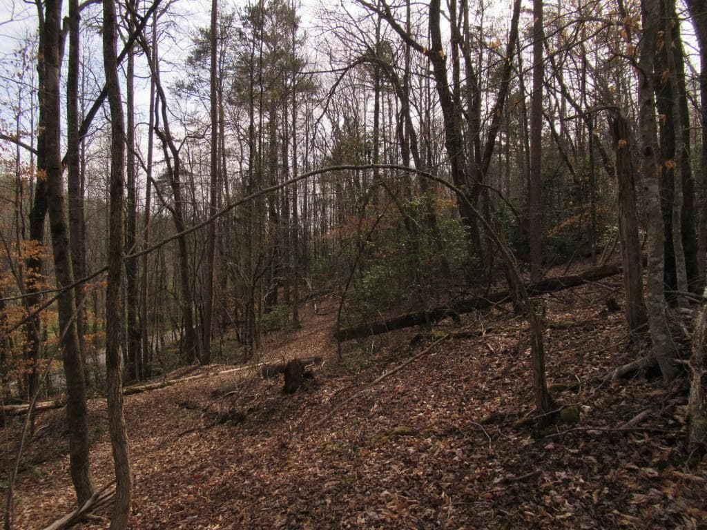 single family residence for sale at 00 Long Branch Road, Dahlonega, GA 30533 — photo 2