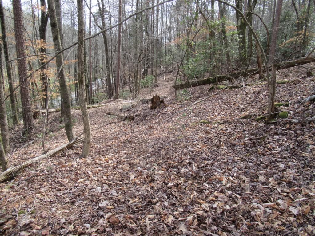 single family residence for sale at 00 Long Branch Road, Dahlonega, GA 30533 — photo 3