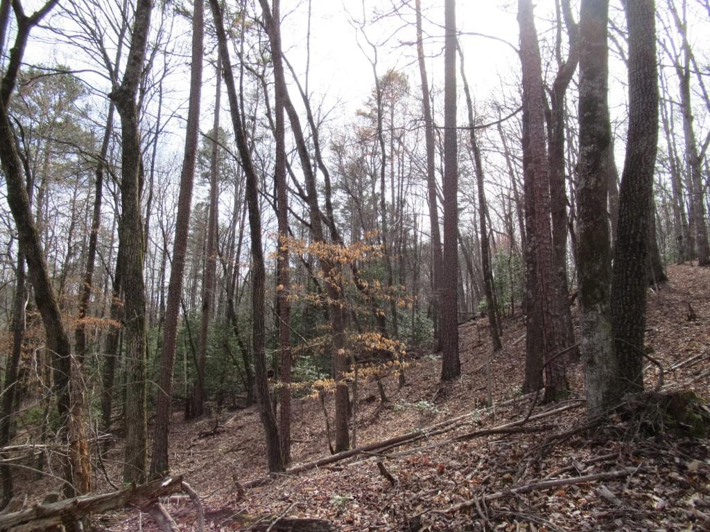 single family residence for sale at 00 Long Branch Road, Dahlonega, GA 30533 — photo 4