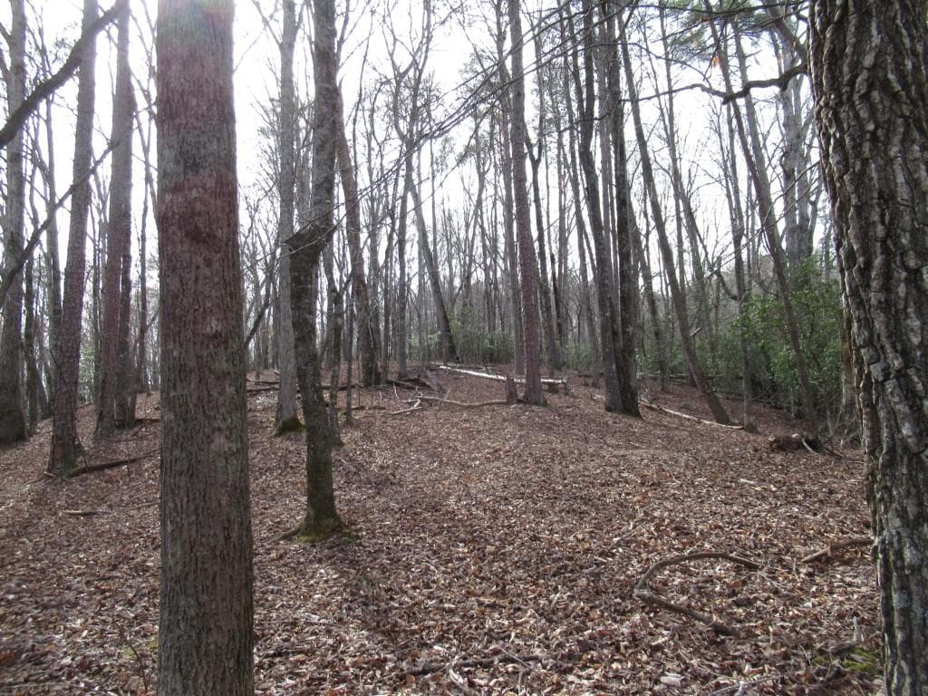 single family residence for sale at 00 Long Branch Road, Dahlonega, GA 30533 — photo 5
