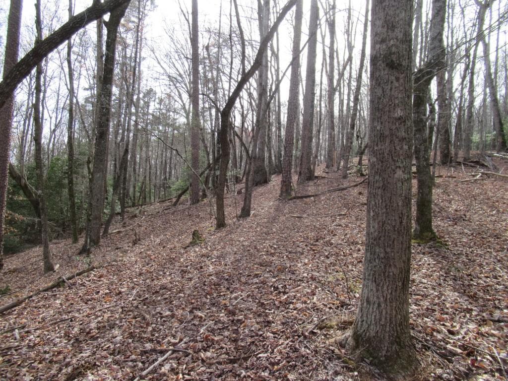 single family residence for sale at 00 Long Branch Road, Dahlonega, GA 30533 — photo 6