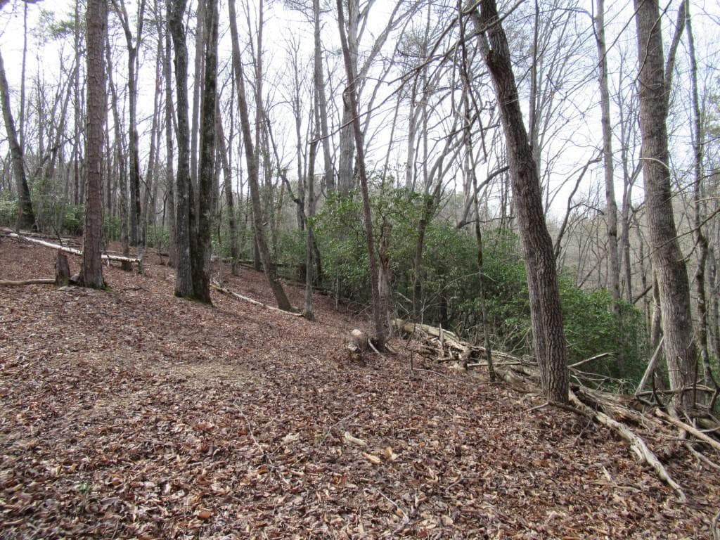 single family residence for sale at 00 Long Branch Road, Dahlonega, GA 30533 — photo 7