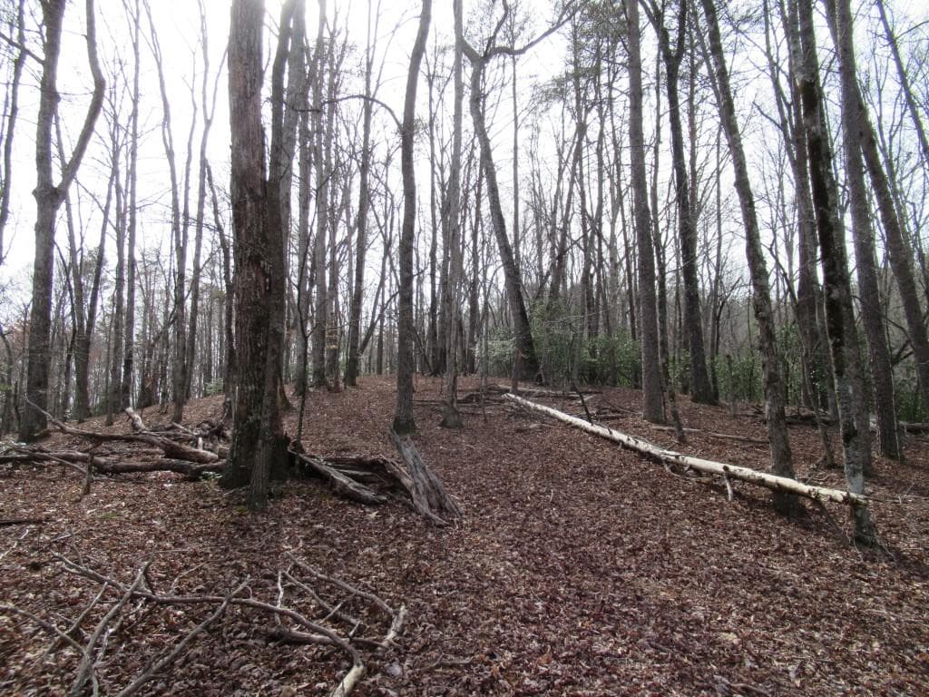 single family residence for sale at 00 Long Branch Road, Dahlonega, GA 30533 — photo 8