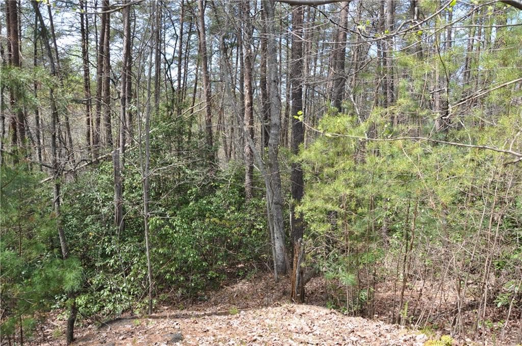 single family residence for sale at 5533 Red Fox Court, Big Canoe, GA 30143 — photo 3