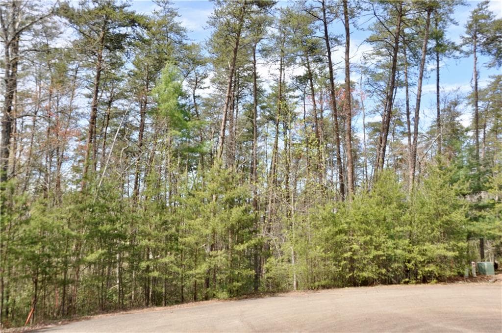 single family residence for sale at 5533 Red Fox Court, Big Canoe, GA 30143 — photo 4