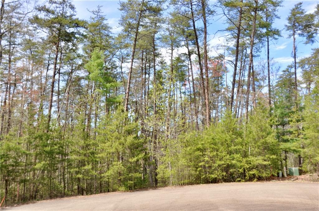 single family residence for sale at 5533 Red Fox Court, Big Canoe, GA 30143 — photo 6