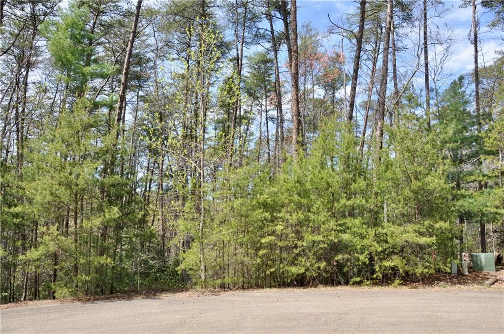 single family residence for sale at 5533 Red Fox Court, Big Canoe, GA 30143 — photo 8
