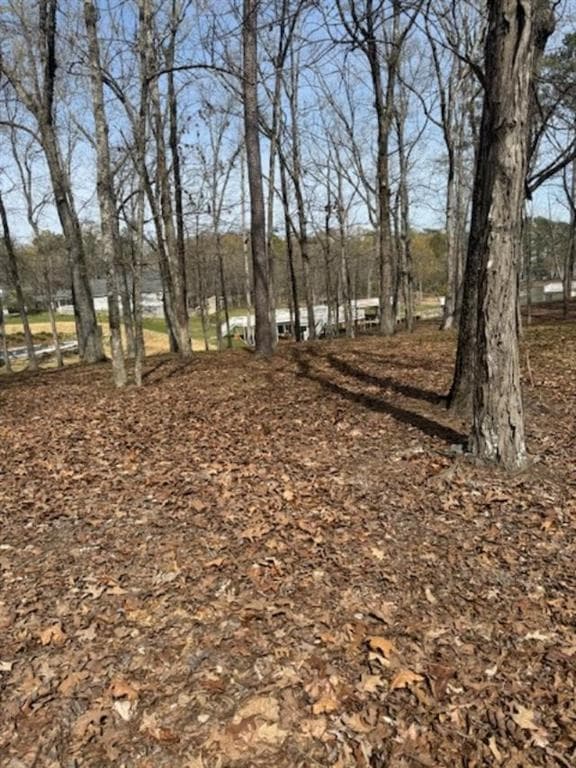 single family residence for sale at 0 Rosemary LOT 6 Lane, Cedar Bluff, AL 35959 — photo 6
