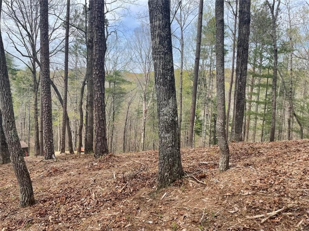 0 Finale Street, Talking Rock, GA 30175 — most recent listing photo