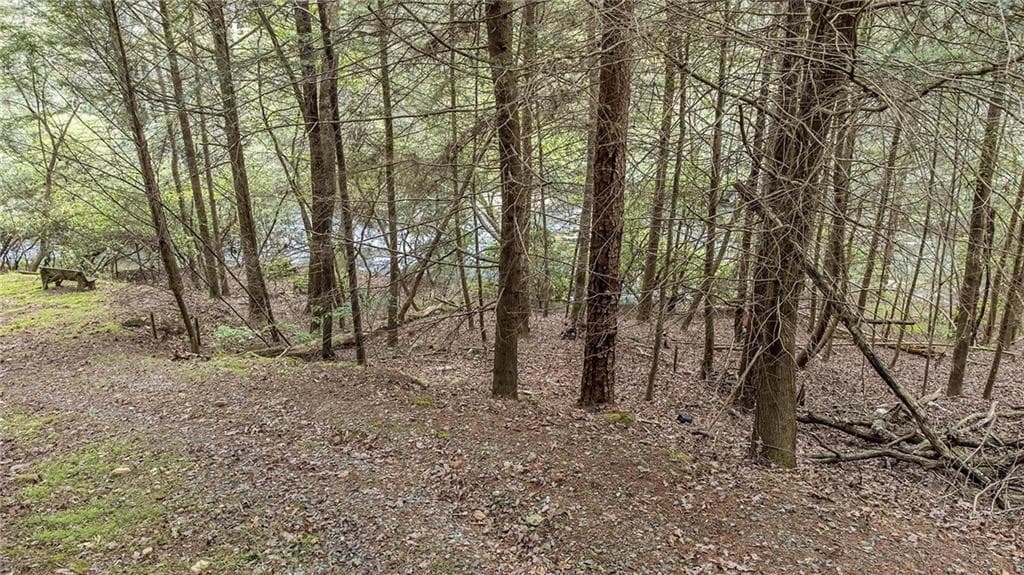 single family residence for sale at LOT 48 Indian Cave Road, Ellijay, GA 30536 — photo 5