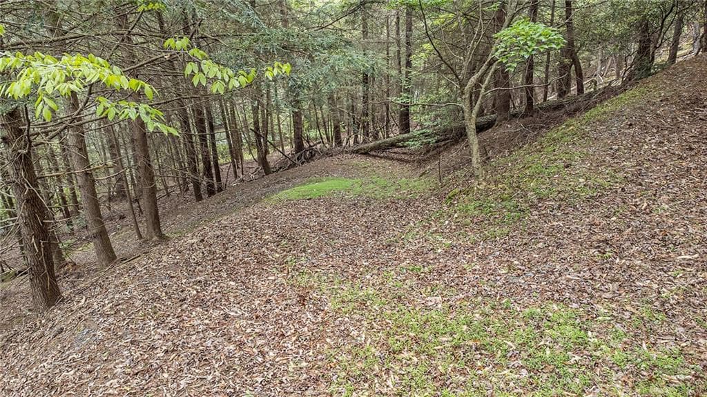single family residence for sale at LOT 48 Indian Cave Road, Ellijay, GA 30536 — photo 6