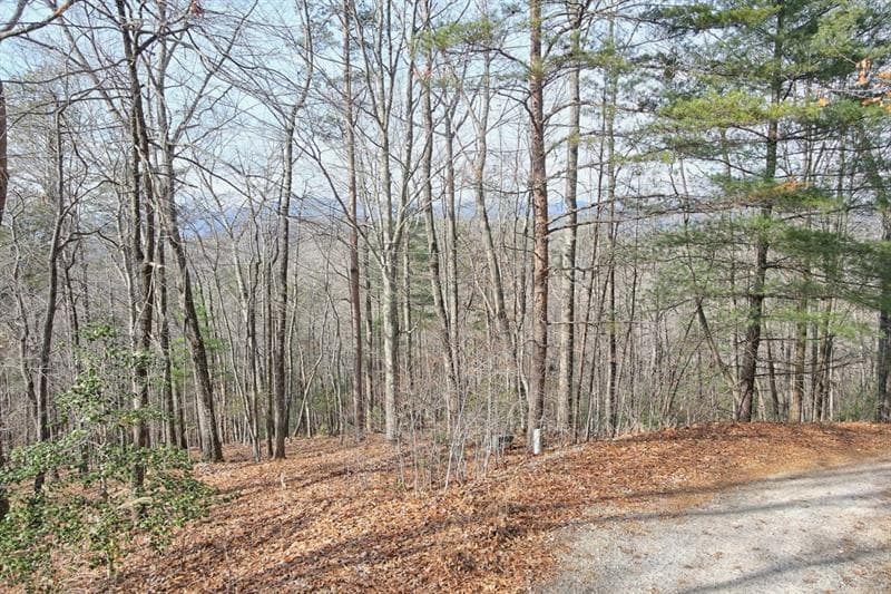 other sold at 410 Chestnut Hills Road, Clarkesville, GA 30523