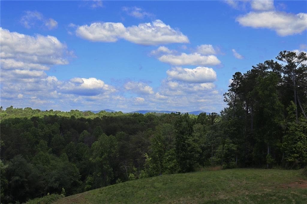 single family residence for sale at 0 Parksbrook Road, Ellijay, GA 30540 — photo 10