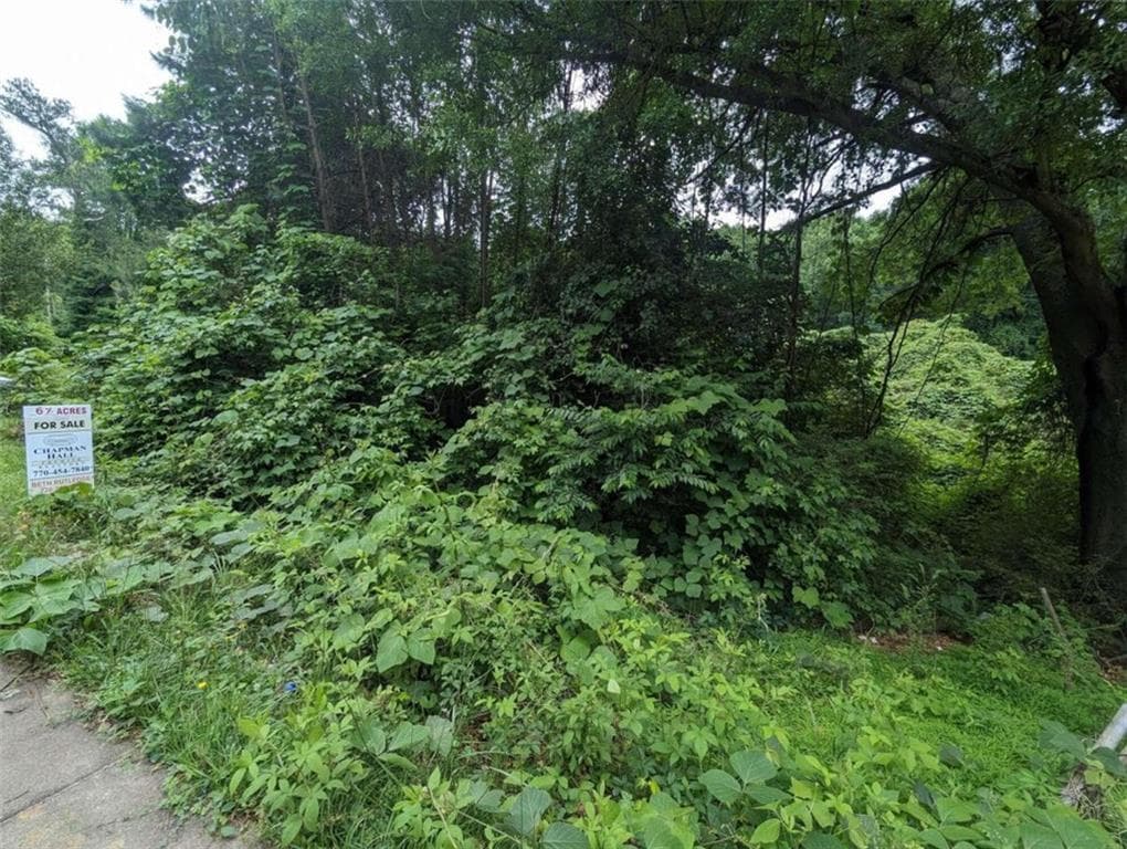 single family residence for sale at 00 Dodson, East Point, GA 30344 — photo 3