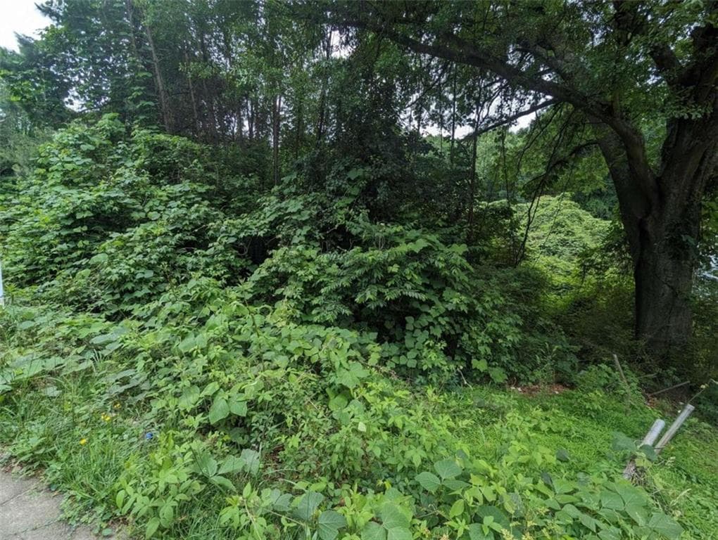 single family residence for sale at 00 Dodson, East Point, GA 30344 — photo 4
