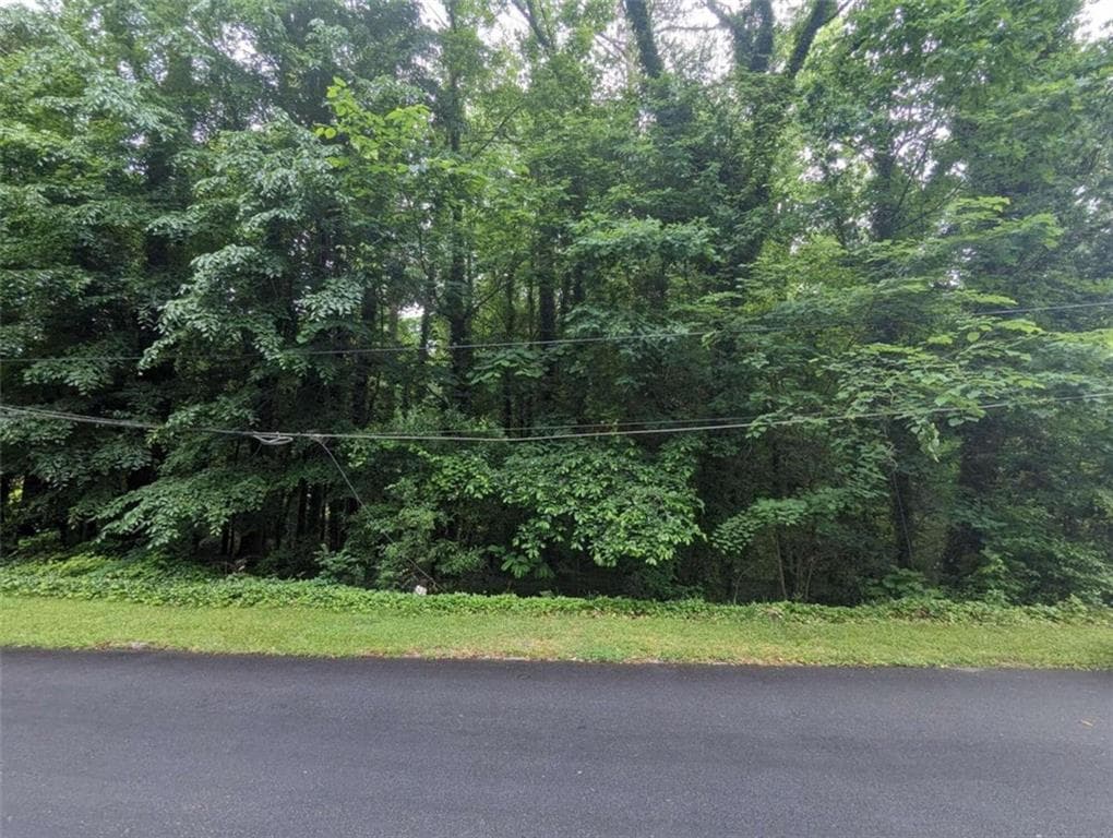 single family residence for sale at 00 Dodson, East Point, GA 30344 — photo 10