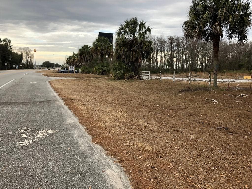 unimproved land for sale at 13687 Ga. Hwy. 251, Darien, GA 31305