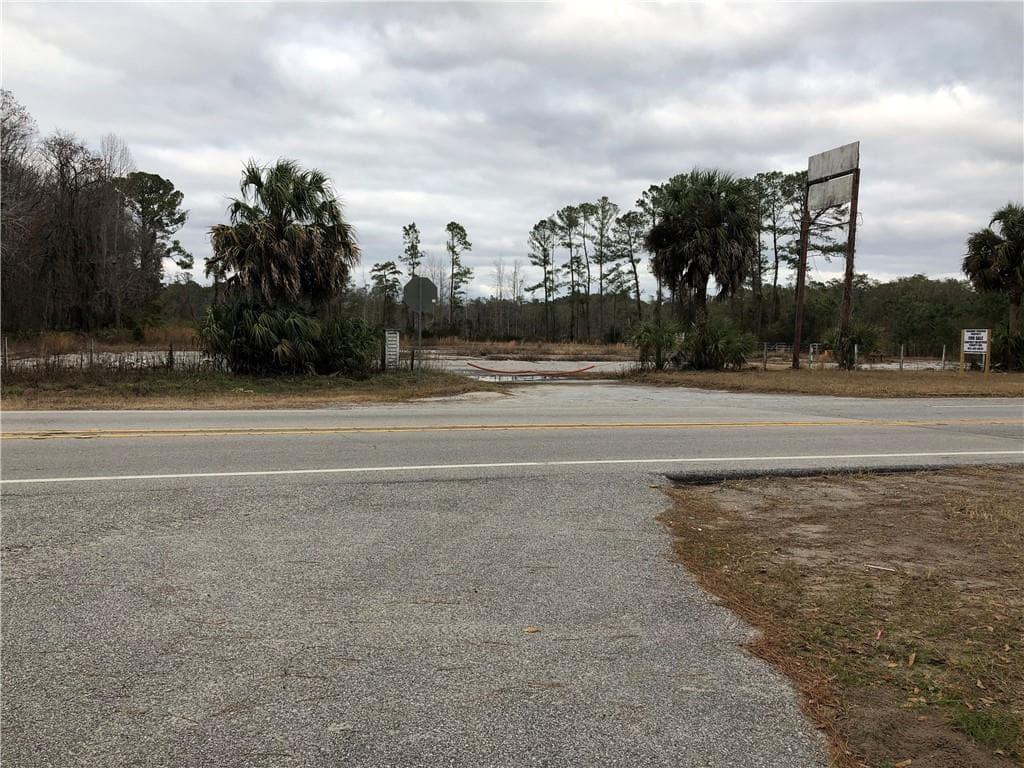 unimproved land for sale at 13687 Ga. Hwy. 251, Darien, GA 31305 — photo 2