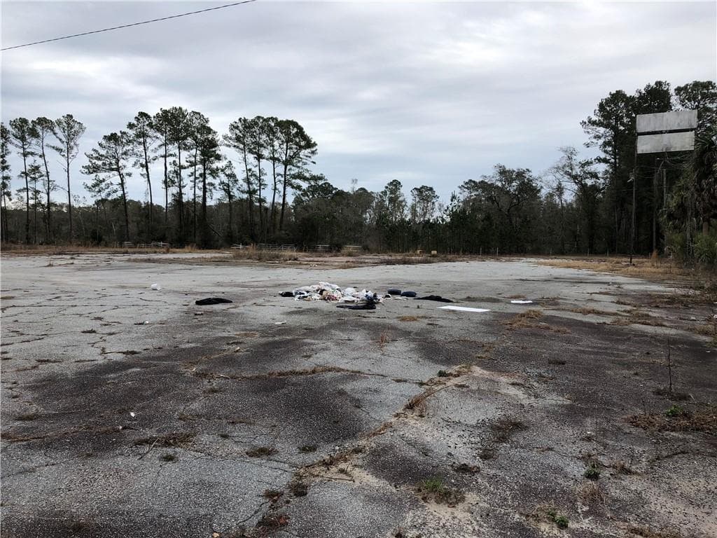 unimproved land for sale at 13687 Ga. Hwy. 251, Darien, GA 31305 — photo 3