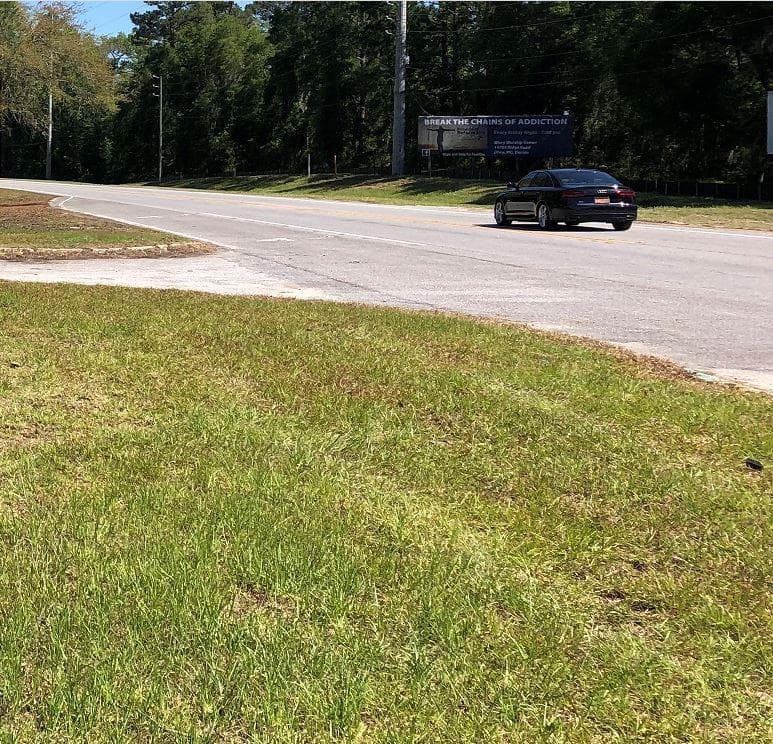 unimproved land for sale at 13687 Ga. Hwy. 251, Darien, GA 31305 — photo 4