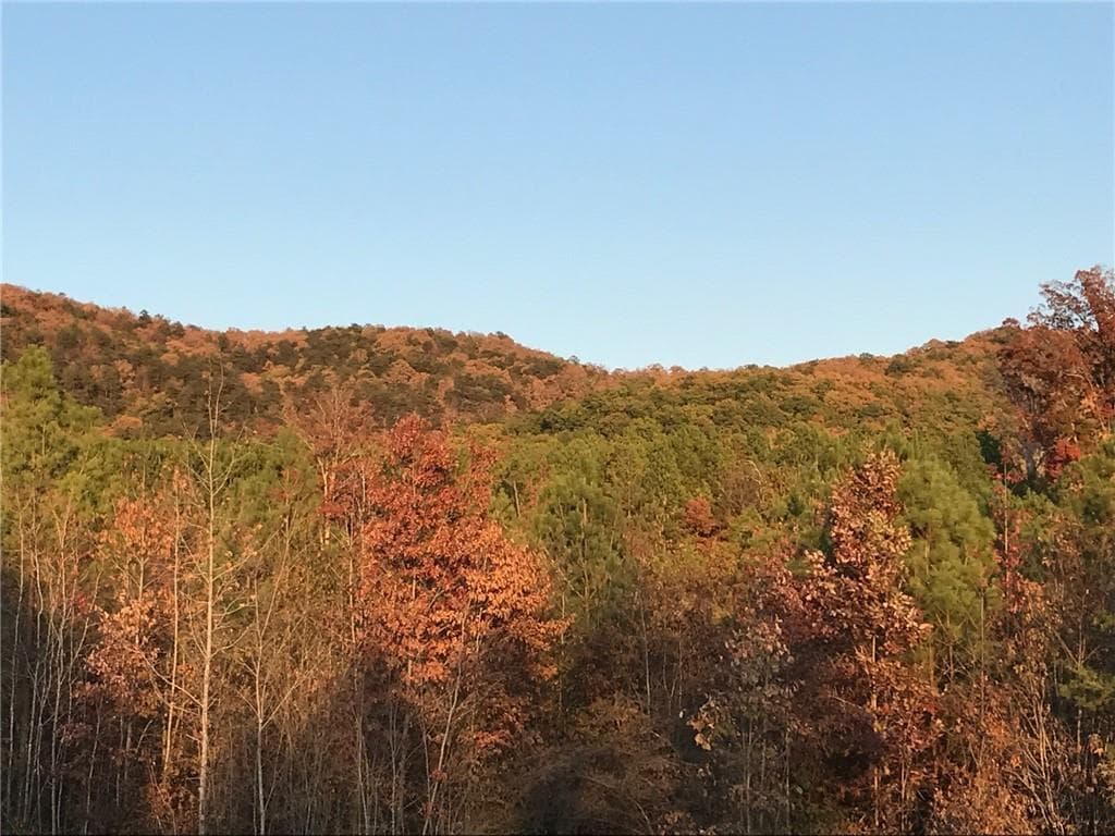 unimproved land for sale at 200 Ridgeview Trail, Calhoun, GA 30701 — photo 10