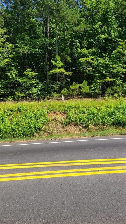 unimproved land for sale at 0 Stewart Mill Road, Douglasville, GA 30135 — photo 8