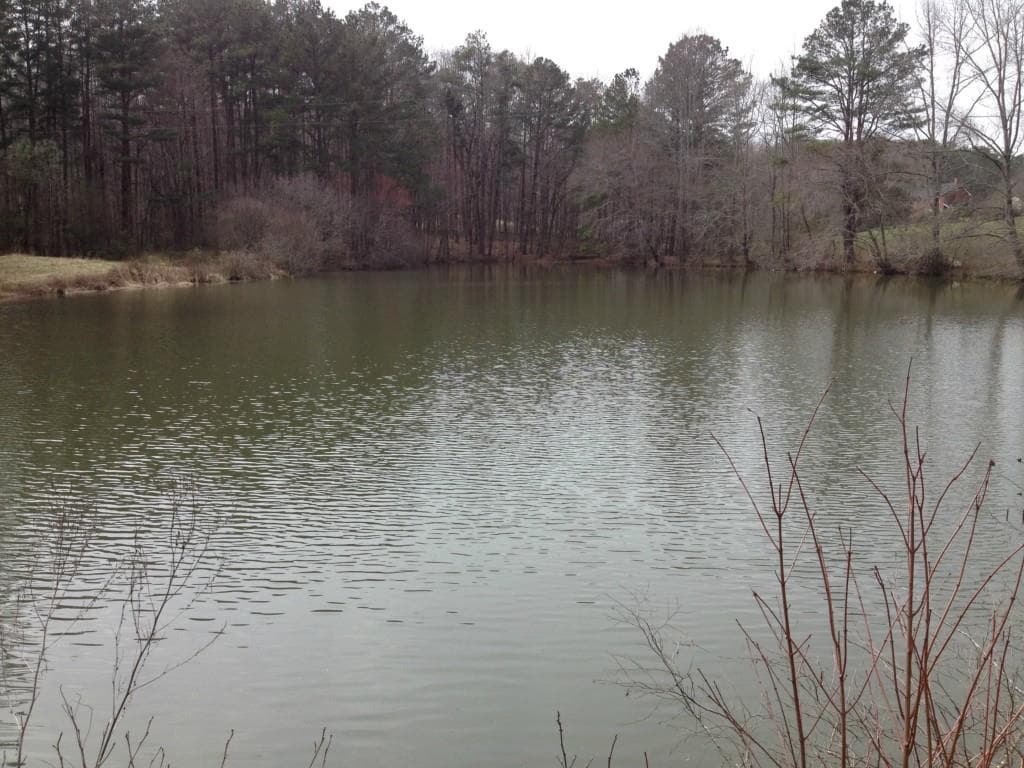 2 bedroom other for sale at 2255 Mountain Road, Milton, GA 30004