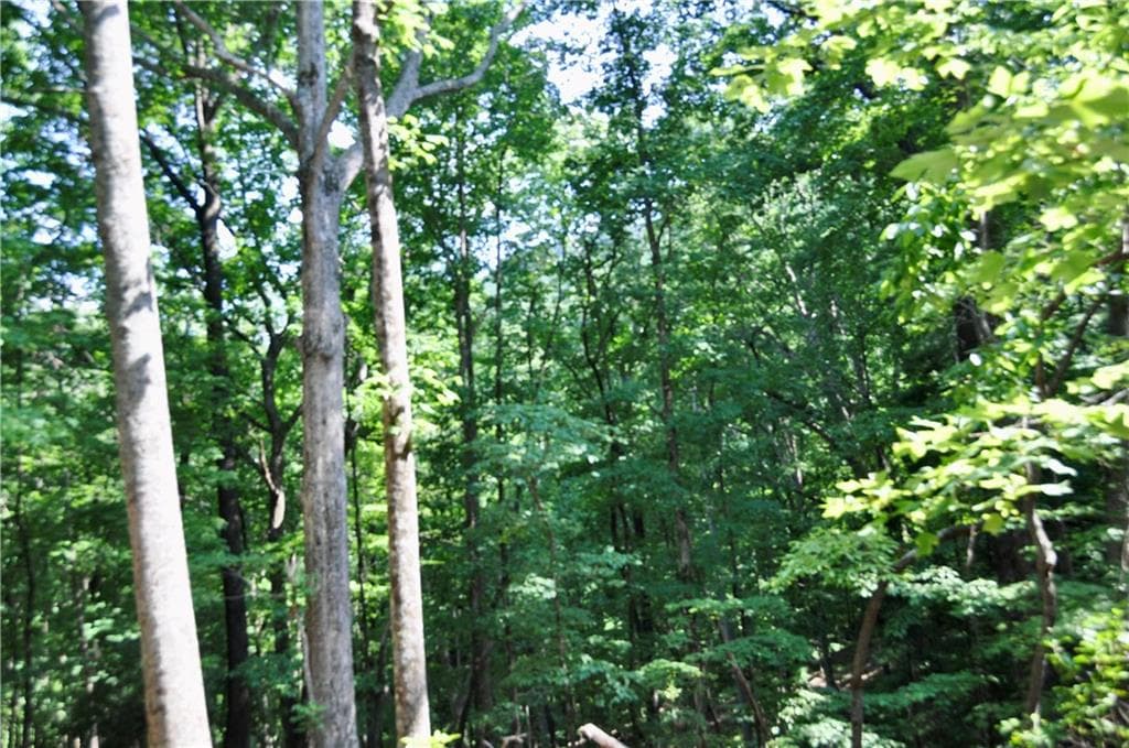 single family residence for sale at 7097 Pine Knoll, Big Canoe, GA 30143 — photo 2