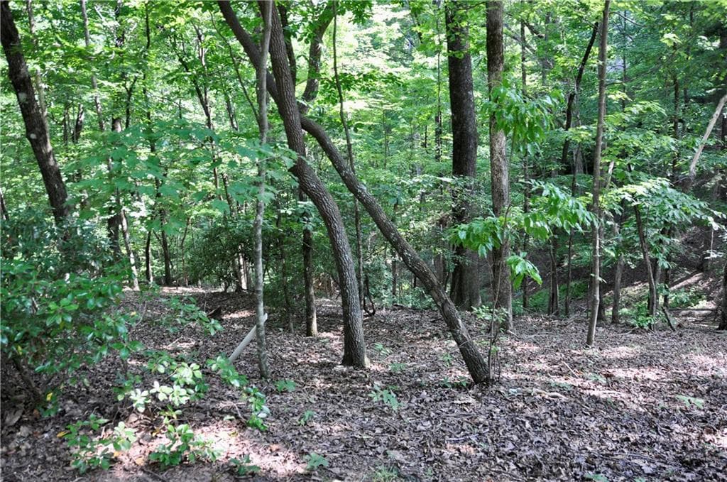 single family residence for sale at 7097 Pine Knoll, Big Canoe, GA 30143 — photo 5