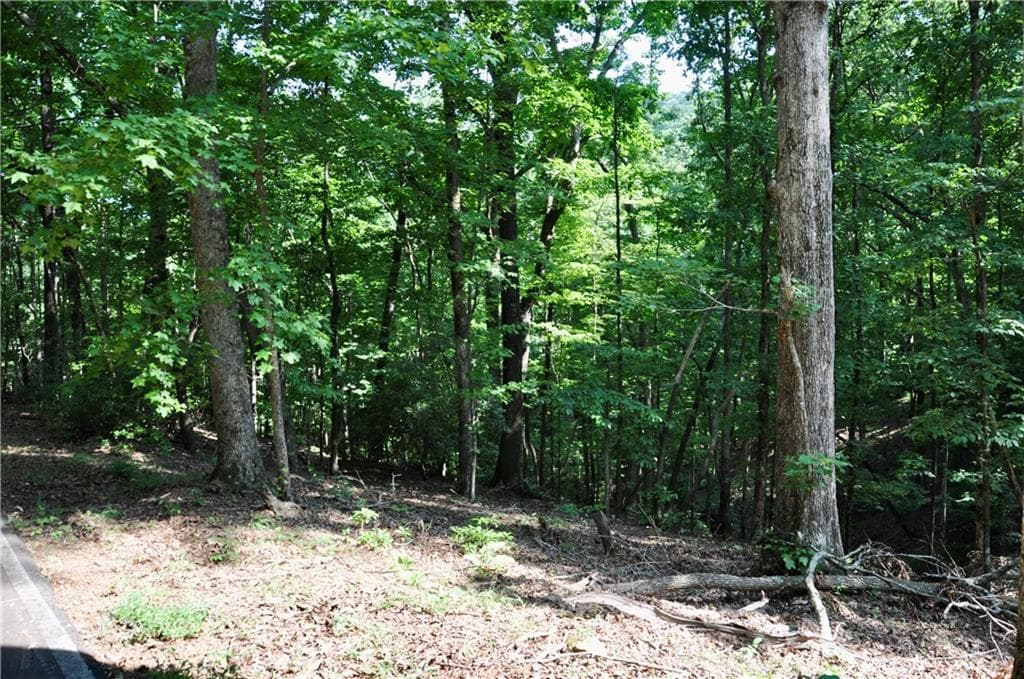 single family residence for sale at 7097 Pine Knoll, Big Canoe, GA 30143 — photo 7