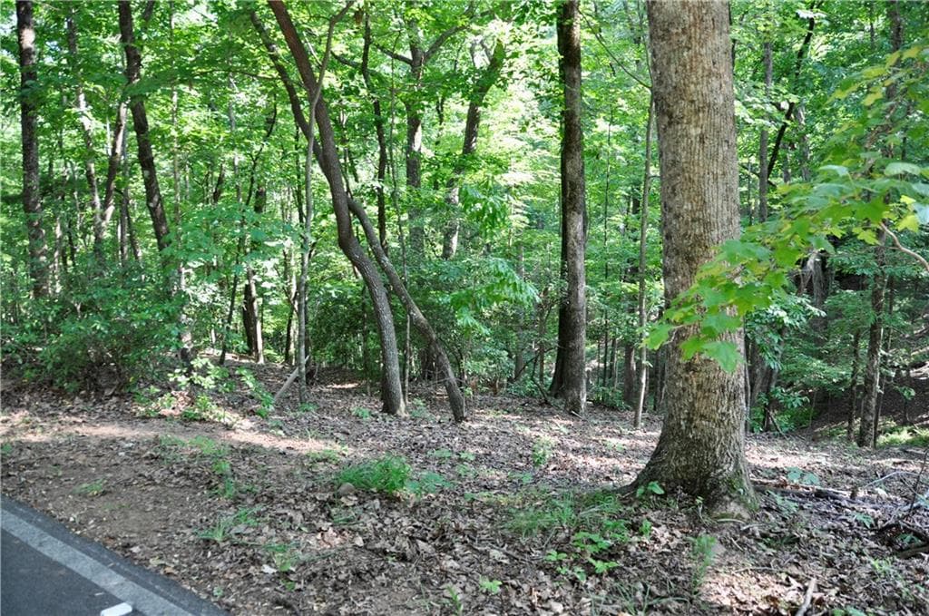 single family residence for sale at 7097 Pine Knoll, Big Canoe, GA 30143 — photo 8