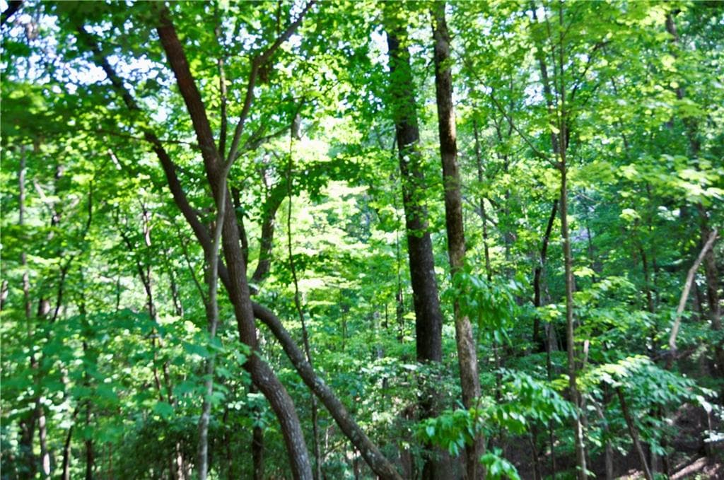 single family residence for sale at 7097 Pine Knoll, Big Canoe, GA 30143 — photo 10