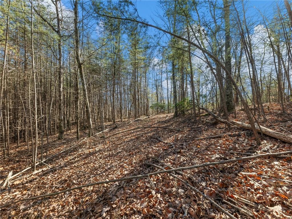 single family residence sold at 252 S Laceola Drive, Cleveland, GA 30528