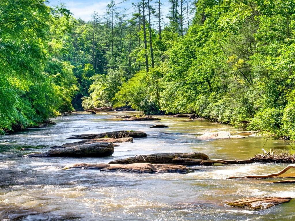 1800 Sleepy Hollow Road, Dahlonega, GA 30533 — most recent listing photo
