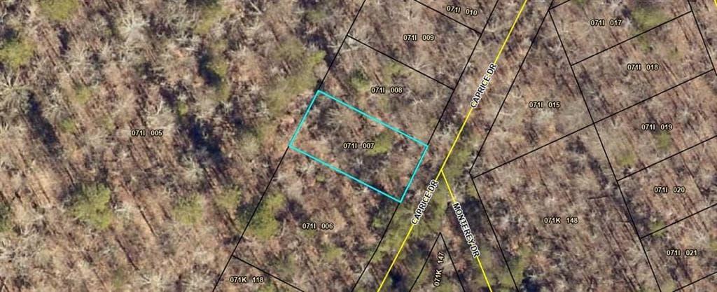unimproved land for sale at 140 Caprice Drive, Martin, GA 30557 — photo 1 of 1