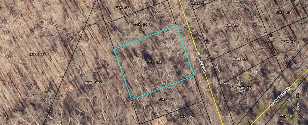unimproved land for sale at 298 Caprice Drive, Martin, GA 30557