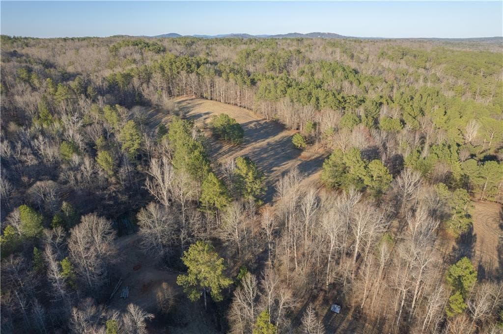unimproved land for sale at 2000 Dabbs Bridge Road, Acworth, GA 30101 — photo 3