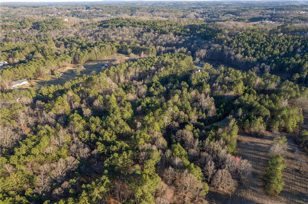 unimproved land for sale at 2000 Dabbs Bridge Road, Acworth, GA 30101 — photo 7