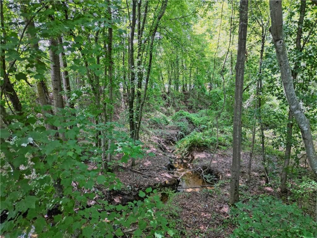 unimproved land for sale at 2095 SIGMAN Road, Conyers, GA 30012 — photo 5