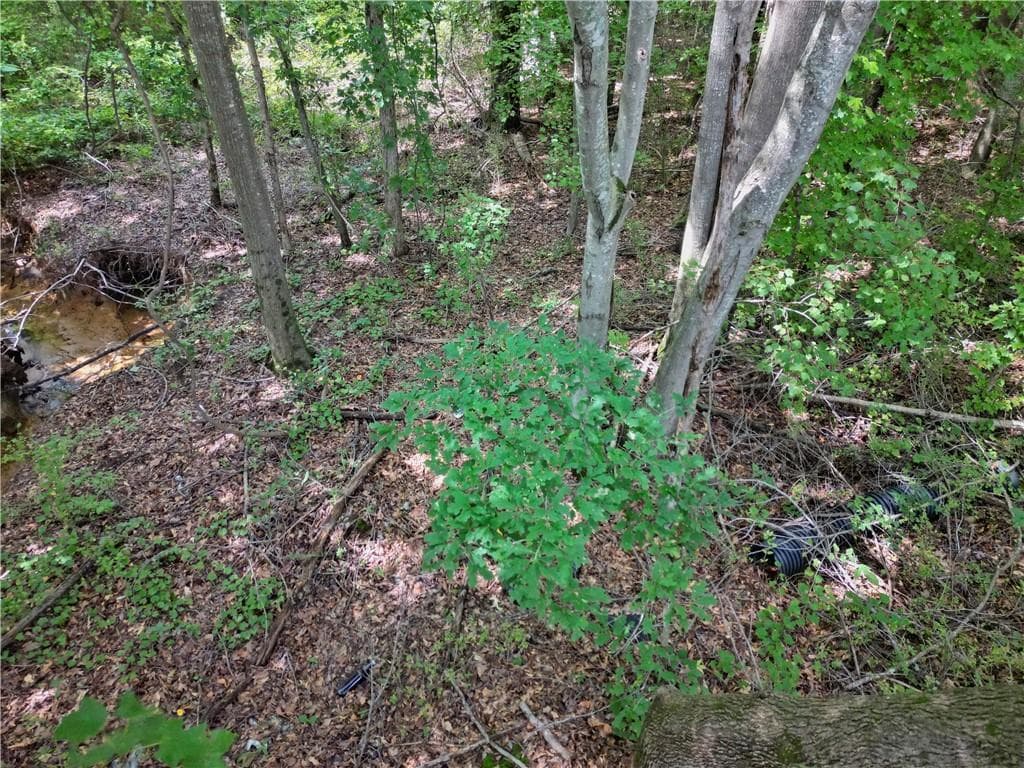 unimproved land for sale at 2095 SIGMAN Road, Conyers, GA 30012 — photo 7