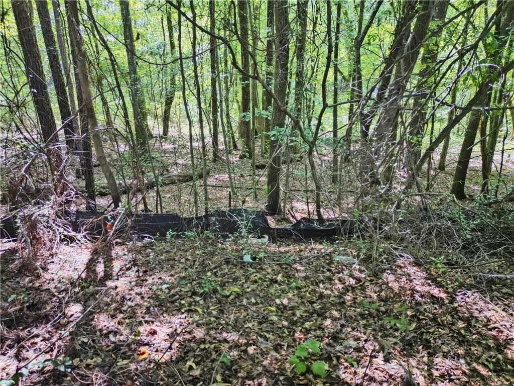 unimproved land for sale at 2095 SIGMAN Road, Conyers, GA 30012 — photo 8