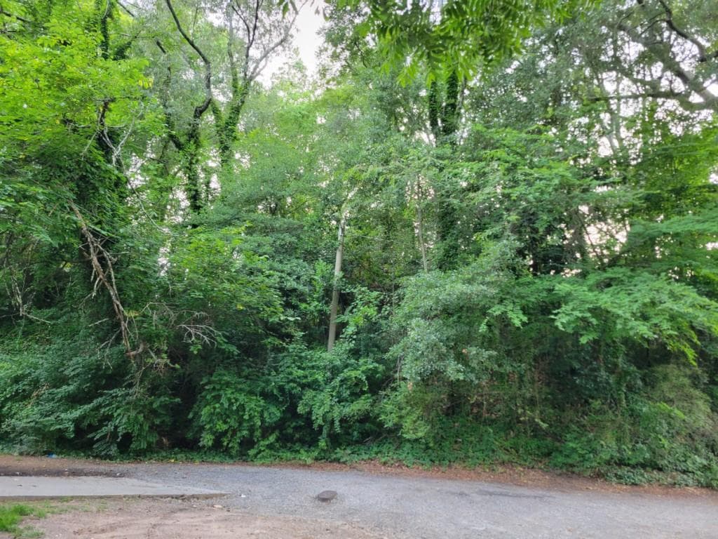 single family residence for sale at 1019 Hubbard, Atlanta, GA 30310 — photo 3