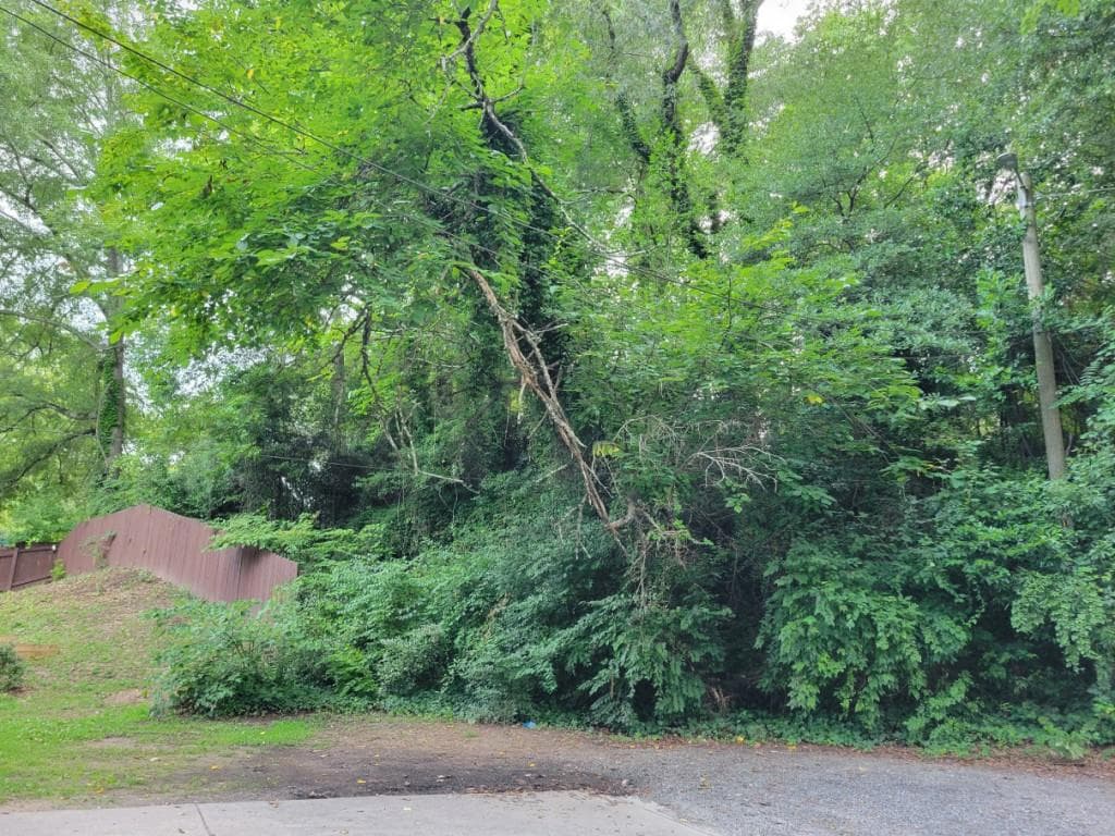 single family residence for sale at 1019 Hubbard, Atlanta, GA 30310 — photo 4