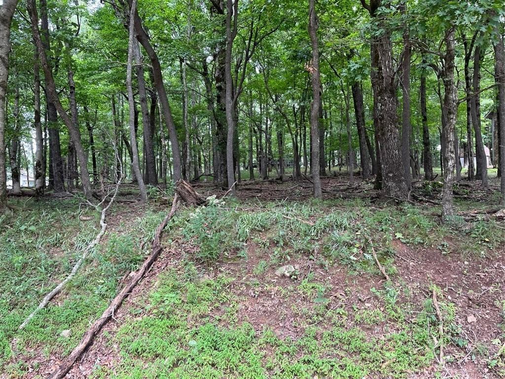 single family residence for sale at 1918 Big Stump Mountain Trail, Jasper, GA 30143